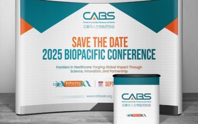 ef04ac145c2172ac2ef2aa3811d71a09